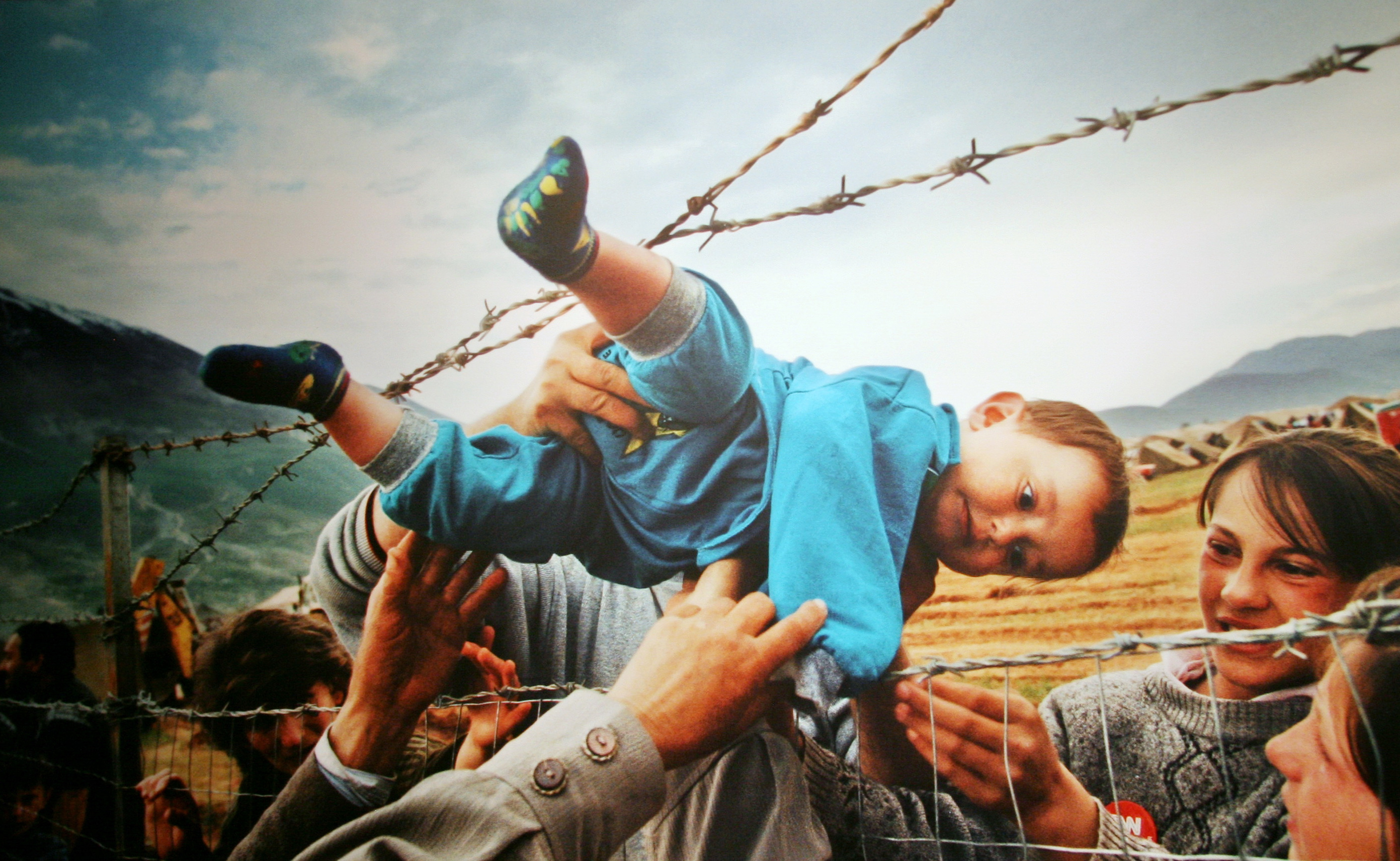 «Беженцы из Косово» / © Кэрол Гази