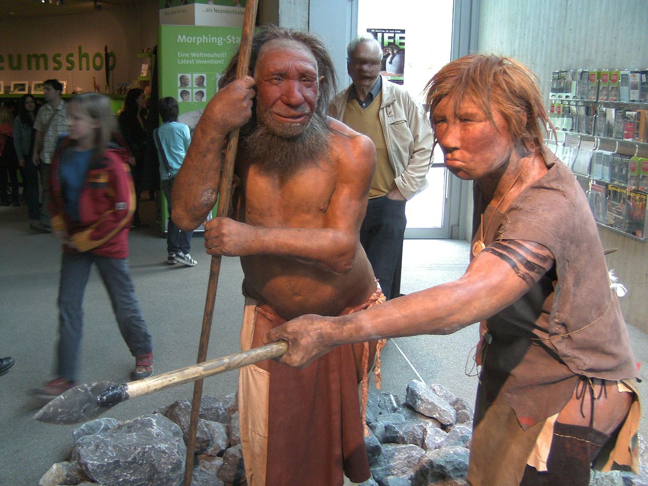 [Зображення: 1280px-Neandertala_homo%2C_modelo_en_Neand-muzeo.jpg]