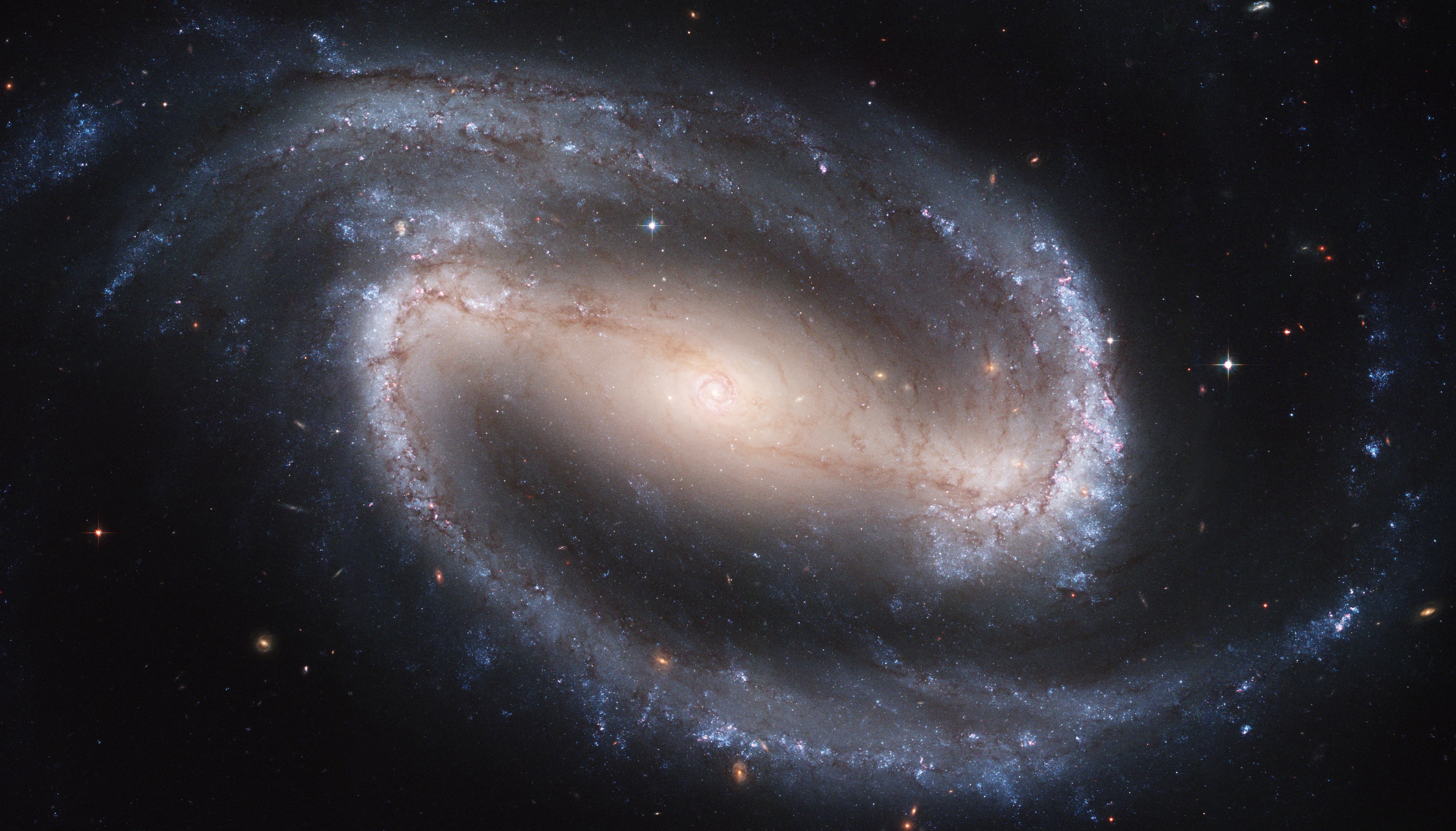 Спиральная галактика с перемычкой NGC 1300 / ©NASA