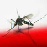 Разработка российских ученых спасет от комаров и солнечных ожогов