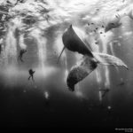 National Geographic подвел итоги фотоконкурса Traveler Photo Contest-2015