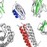 Найдены доисторические предки белков