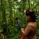 Генетическая связь аборигенов Амазонии и Австралии требует пересмотреть историю заселения Америки