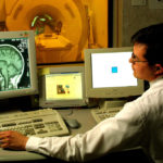 Ученые вырастили мозг «в пробирке»