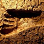 В Канаде нашли следы человека, оставленные 13 тысяч лет назад