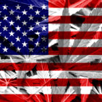 Легализация марихуаны в США вдвое сократила потребление кокаина