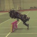 Самую быструю собаку-робота Читу научили прыгать