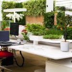 Озеленение офиса повышает продуктивность работников на 15%