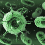 Ученые: бактерии в кишечнике манипулируют поведением человека