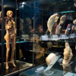 Православные активисты хотят запретить анатомическую выставку «Тело человека»