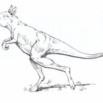 Вымершие в конце плейстоцена кенгуру могли ходить как люди