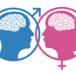 Мужской мозг отличается от женского. Чем?