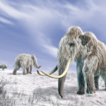Люди заселили Арктику 45 тыс. лет назад, – российские ученые