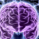 Как выглядит мозг в психоделическом состоянии?