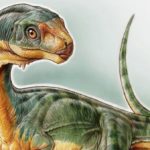 Близкий родственник тираннозавров обратился в вегетарианство – но не успел