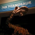 В музее Нью-Йорка выставят скелет титанозавра