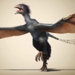 Ученые рассказали, как выглядел динозавр-«голубь»
