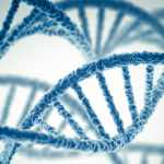 Ученые нашли 74 участка генома человека, отвечающих за уровень образования