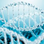 Предложен проект создания человеческого генома с нуля
