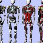 Японцы представили искусственный скелет с робомускулами