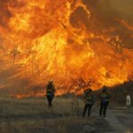 Американцы хотят тушить лесные пожары артиллерией