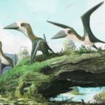 Палеонтологи открыли крылатых динозавров размером с кошку