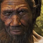 Ученые рассказали о пользе скрещивания с неандертальцами
