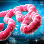 Вирус Эбола мутировал и стал опаснее