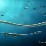 Ученые обнаружили окаменелого проторозавра накануне живорождения