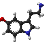 serotonin-spartan-hf-based-on-xtal-3d-balls-web