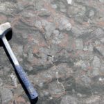 В Канаде найдена древнейшая из известных окаменелостей