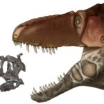 Палеонтологи описали предшественников тираннозавра