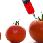 Ученые научились получать ГМ-овощи и фрукты без косточек