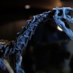 «Травоядный хищник» заставляет пересмотреть эволюцию динозавров