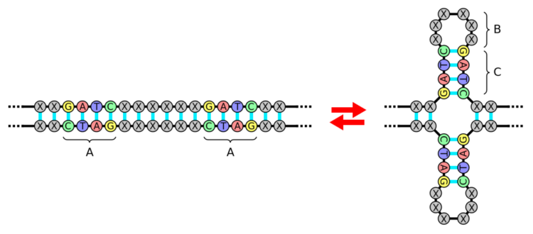 Как исправить человека CRISPR Cas9 новейшая система генной