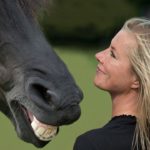 У лошадей обнаружили память на выражения человеческих лиц