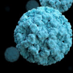 Ученые определили цель атаки вирусов «кишечного гриппа»