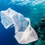 Ученые рассказали о пластиковом мусоре в Марианской впадине