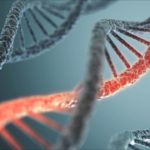 Темная ДНК — новая загадка в мире генетики