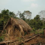 Опубликовано видео с последним выжившим из изолированного племени Амазонии