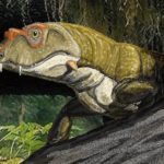 В Гранд-Каньоне нашли следы предшественника динозавров