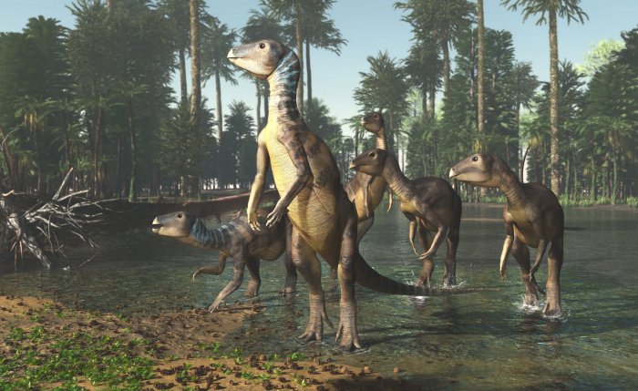 weewarrasaurus-reconstruction