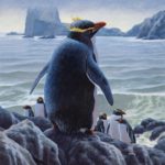 Новое исследование позволило ученым выявить двух недавно вымерших пингвинов, обитавших в Новой Зеландии