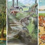 Современный уровень биоразнообразия на суше мало отличается от того, что наблюдался последние 60 миллионов лет