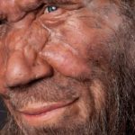 Исследователи назвали новую причину вымирания неандертальцев