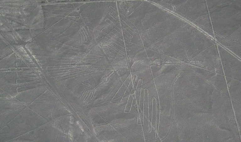1200px-nazca_bird
