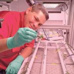 Астронавты будут выращивать перец чили на МКС
