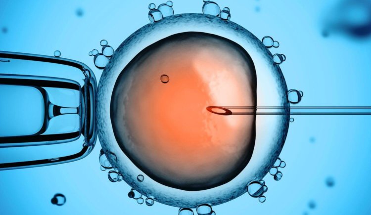 human-embryo-editing-640x0-750x435