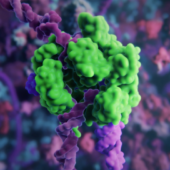 3D-анимация системы редактирования генома CRISPR