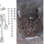 В Армении обнаружили могилу древней амазонки